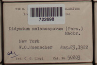 Image Associated With the Occurence